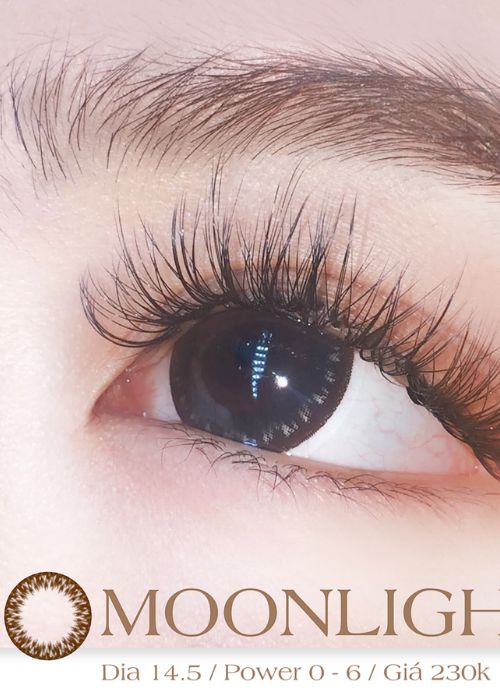 kinh ap trong Moonlight Choco