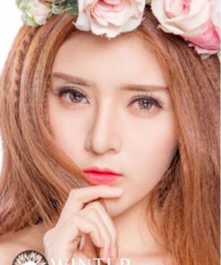 ap trong WINTER BROWN