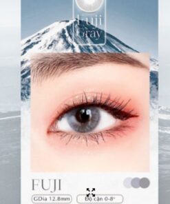 Fuji Gray lens
