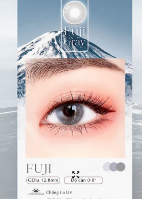 Fuji Gray lens